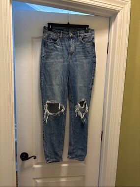 American Eagle Outfitters Distressed Boyfriend Jeans - Light Blue